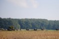 /album/foto1/dsc-0139-jpg/