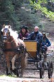 /album/foto1/dsc-0209-jpg/