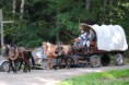 /album/foto1/dsc-0232-jpg1/