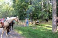 /album/foto1/dsc-0266-jpg/
