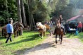 /album/foto1/dsc-0593-jpg1/
