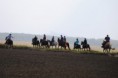 /album/foto1/dsc-0611-jpg/